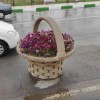 گلدان زیبای طرح سبد فایبرگلاس